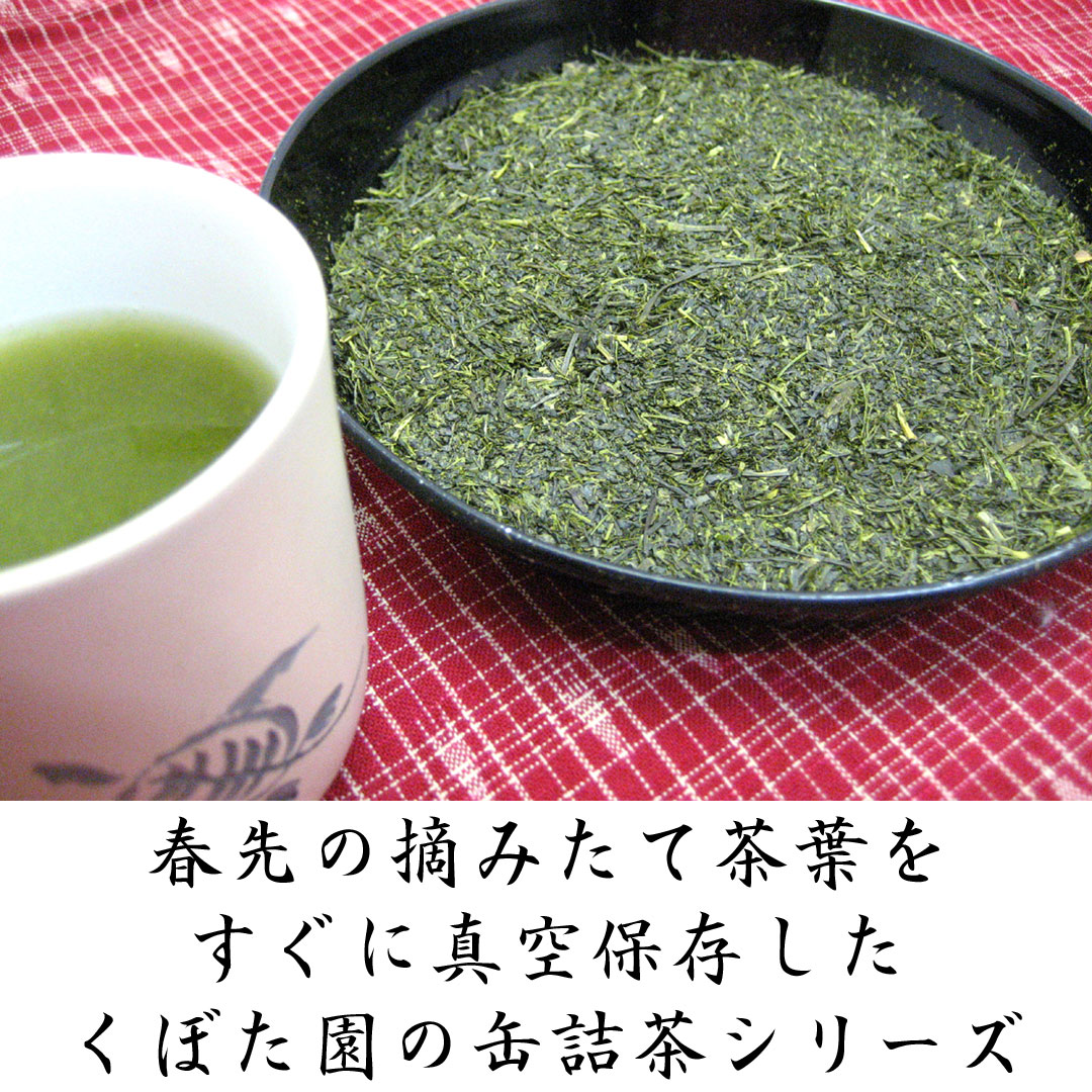 真空缶詰茶 特蒸やぶ北茶 100g缶 本気の深蒸し茶シリーズ | 富士銘茶