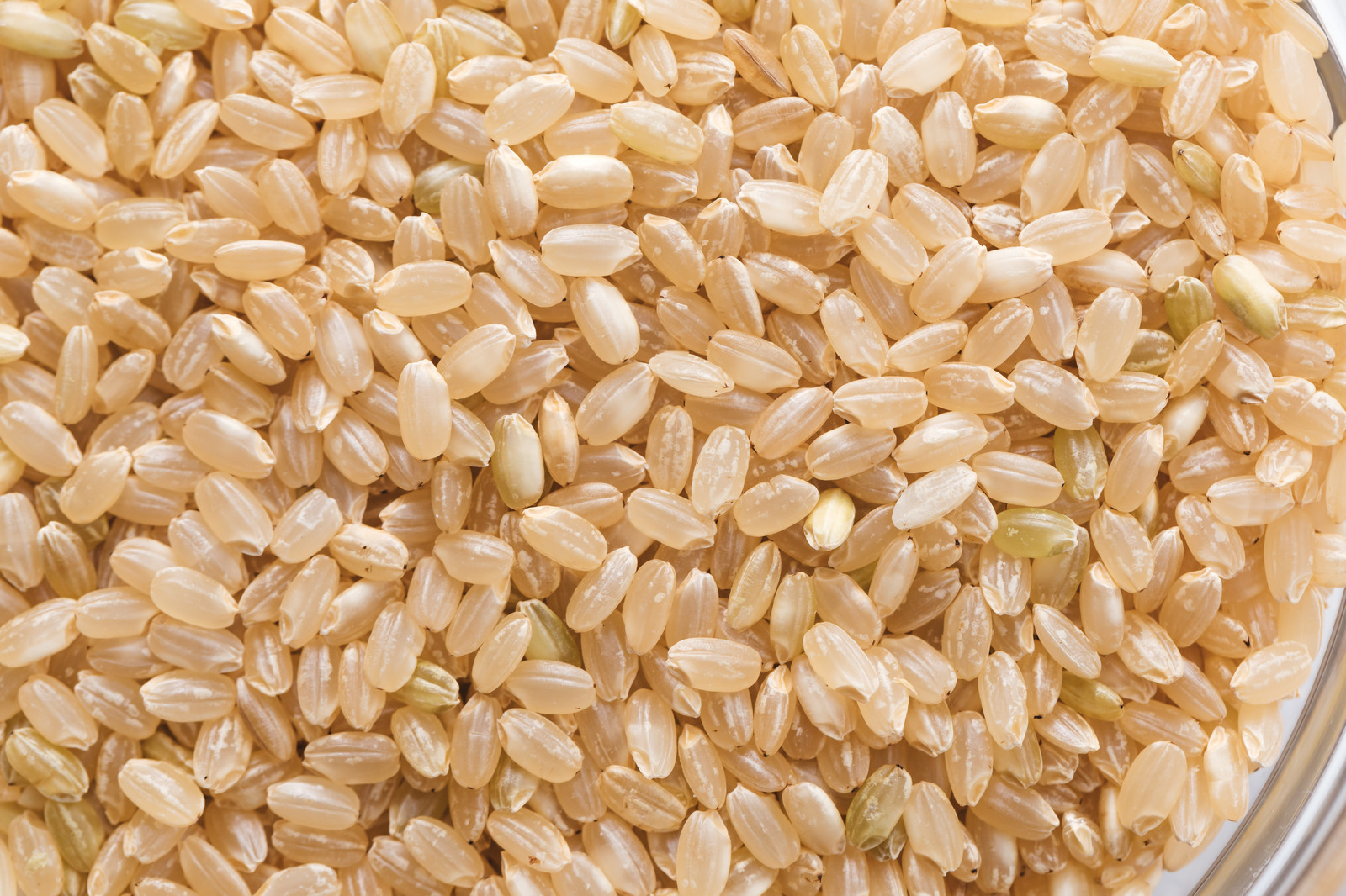 2023年生産分受付終了 カミアカリ 玄米 2kg | リアルフードあくつ