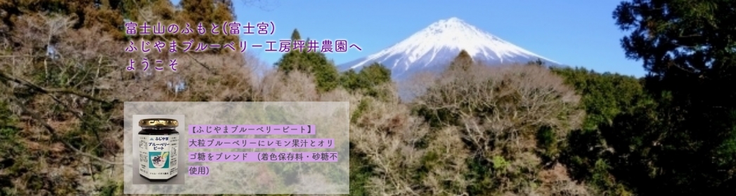 ふじやまブルーベリー工房　坪井農園