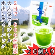 ゴクゴク飲みたい水出し煎茶 専門店の冷茶ティーバッグ 5gパック 20個入り